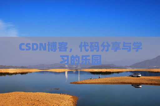 CSDN博客,代码分享与学习的乐园